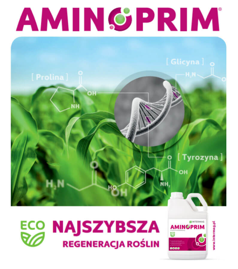AMINOPRIM intermag